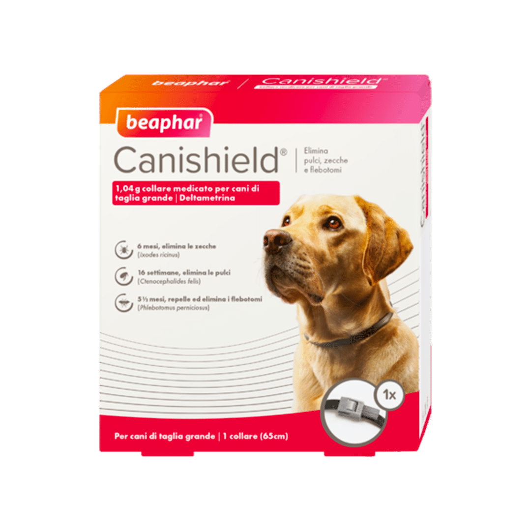 pv_canishield