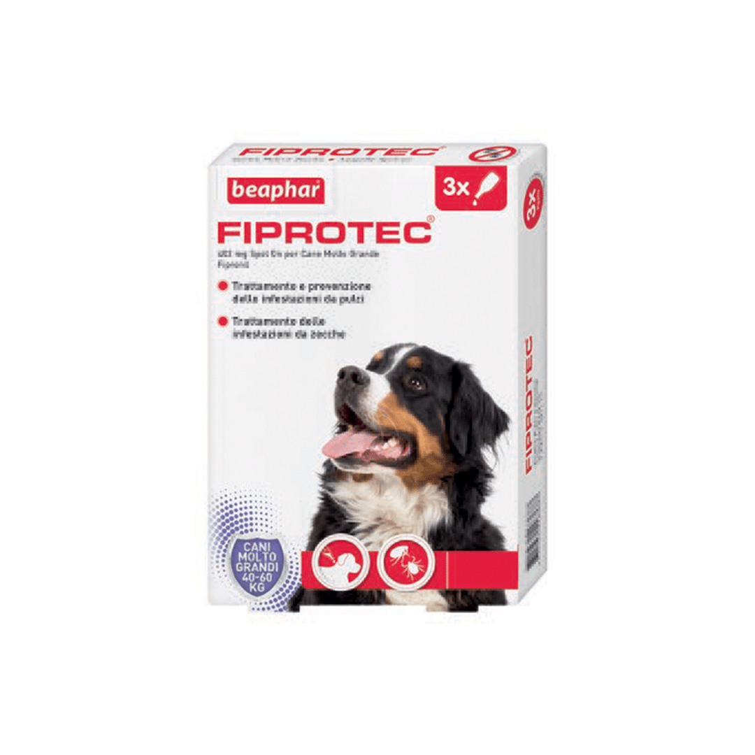 pv_fiprotec