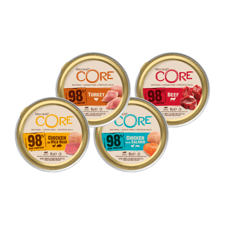 patè CORE