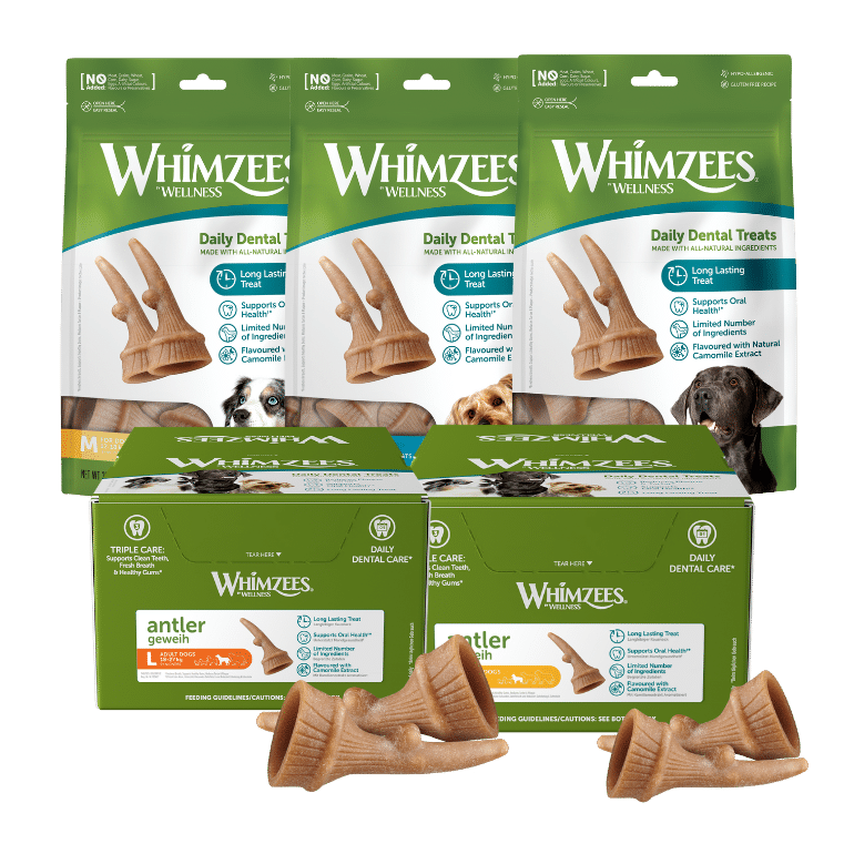 WHIMZEES - ANTLER
